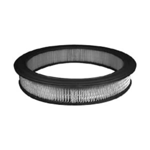 Hastings Air Filter for Ford Country Squire - AF33