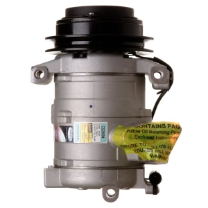 Delphi A C Compressor With Clutch for 2008 Dodge Sprinter 2500 - CS20094