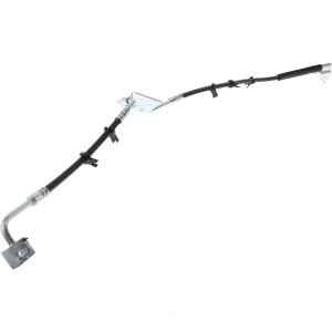 Centric Front Passenger Side Brake Hose for 2000 Dodge Ram 1500 - 150.67099
