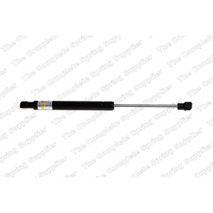 lesjofors Hood Lift Support for Audi TT - 8004222