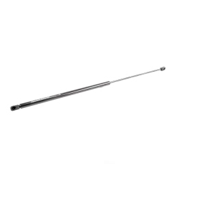 VAICO Hood Lift Support for 2007 Volkswagen Rabbit - V10-1930