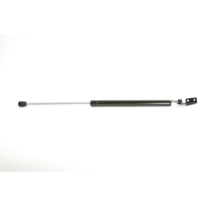 StrongArm Driver Side Liftgate Lift Support - 6219L