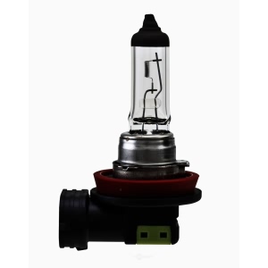 Hella H11Sb Standard Series Halogen Light Bulb for 2011 Chevrolet Equinox - H11SB