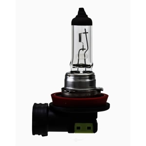 Hella H11Sb Standard Series Halogen Light Bulb for Dodge Dart - H11SB