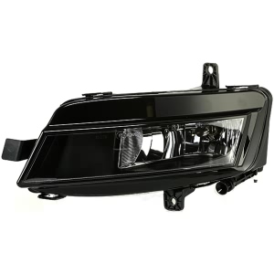 Hella Driver Side Fog Light for Volkswagen e-Golf - 011223071