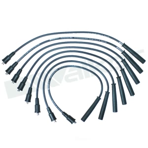 Walker Products Spark Plug Wire Set for 2015 Ford F-350 Super Duty - 924-2084