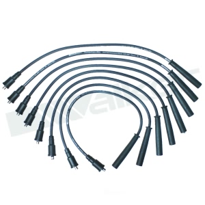 Walker Products Spark Plug Wire Set for 2014 Ford F-350 Super Duty - 924-2084