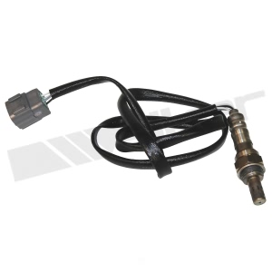 Walker Products Oxygen Sensor for 2005 Mazda 6 - 350-34204