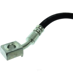 Centric Rear Passenger Side Lower Brake Hose for 2008 Cadillac Escalade EXT - 150.66393