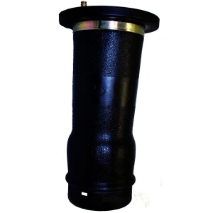 Westar Rear Air Spring for 2002 Land Rover Discovery - AS-7020