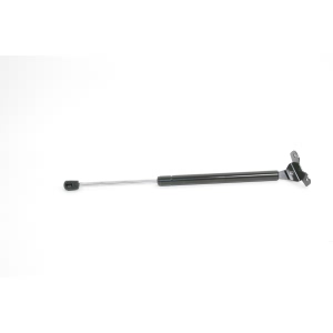 StrongArm Hood Lift Support for 2006 Honda Accord - 4157