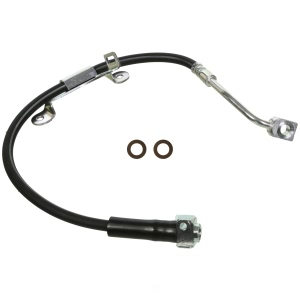 Wagner Front Passenger Side Brake Hydraulic Hose for GMC - BH141362