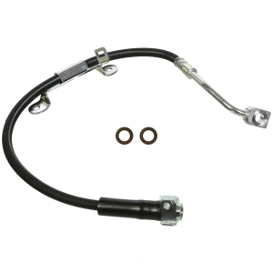 Wagner Front Passenger Side Brake Hydraulic Hose for GMC Envoy - BH141362