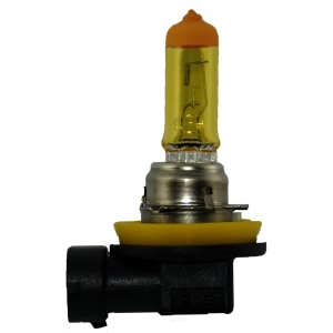 Hella Design Series Halogen Light Bulb for Cadillac XLR - H11 YL