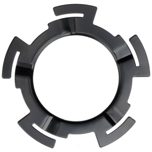 Delphi Fuel Tank Lock Ring for Pontiac Torrent - FA10023