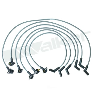 Walker Products Spark Plug Wire Set for 2000 Ford E-150 Econoline Club Wagon - 924-1801