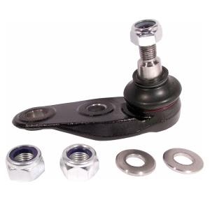 Delphi Front Passenger Side Lower Bolt On Ball Joint for 2005 Mini Cooper - TC2234