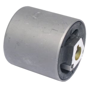 Delphi Front Lower Inner Forward Control Arm Bushing for 2008 BMW X3 - TD508W