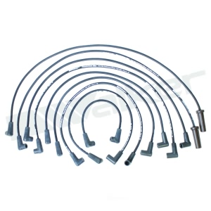 Walker Products Spark Plug Wire Set for 1995 GMC G1500 - 924-1438