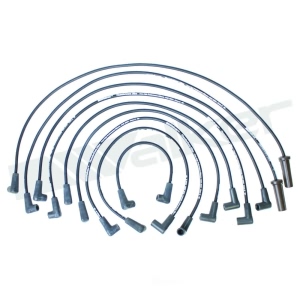 Walker Products Spark Plug Wire Set for 1996 GMC G3500 - 924-1438