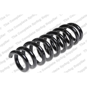 lesjofors Coil Spring for BMW - 4208463