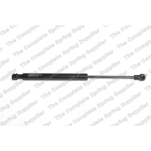 lesjofors Trunk Lid Lift Support - 8141405