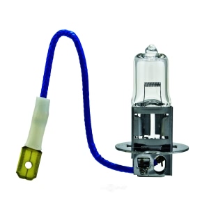 Hella High Wattage Series Halogen Light Bulb for 1986 Buick Skyhawk - H3 130W