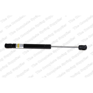 lesjofors Hood Lift Support for 2003 Audi TT - 8004213