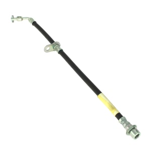 Centric Front Passenger Side Brake Hose for 2005 Lexus LX470 - 150.44112