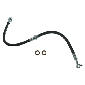 Wagner Front Driver Side Brake Hydraulic Hose for 2012 Nissan Altima - BH143947