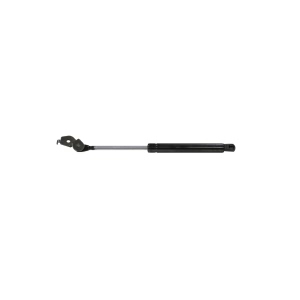 StrongArm Driver Side Hood Lift Support for 1996 Toyota Camry - 4217L
