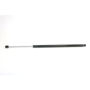 StrongArm Liftgate Lift Support for Chrysler - 6124