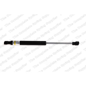 lesjofors Hood Lift Support for 2006 BMW X5 - 8008410