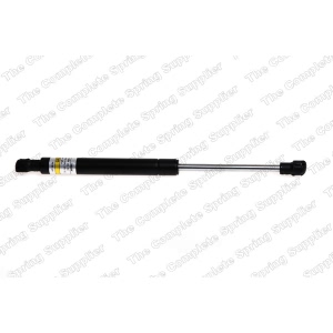 lesjofors Hood Lift Support for BMW X5 - 8008410