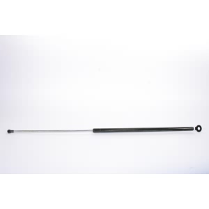 StrongArm Liftgate Lift Support for Acura - 4808