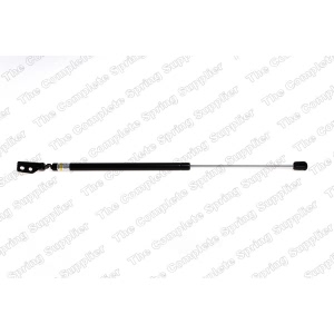 lesjofors Driver Side Liftgate Lift Support for 2001 Hyundai Accent - 8137209