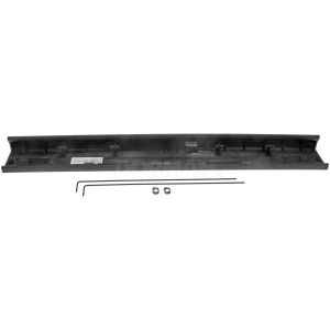 Dorman OE Solutions Tailgate Molding Assembly for Ford - 924-573