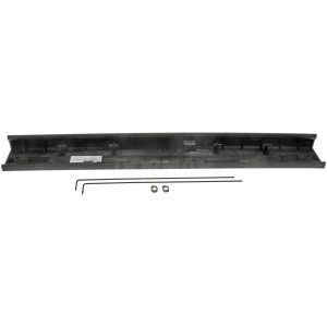 Dorman OE Solutions Tailgate Molding Assembly for Ford F-250 Super Duty - 924-573