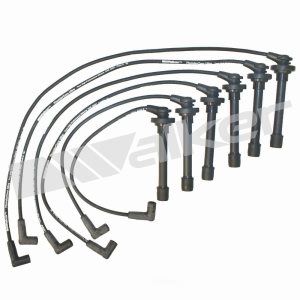 Walker Products Spark Plug Wire Set for Honda - 924-1307