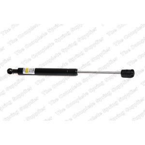 lesjofors Trunk Lid Lift Support - 8104206