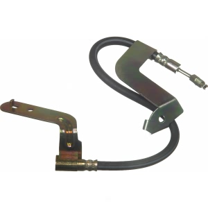 Wagner Rear Passenger Side Brake Hydraulic Hose - BH130294