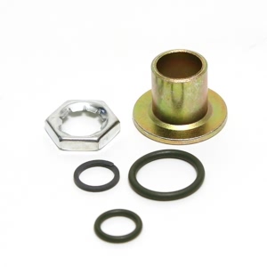 Delphi Fuel Injection Pressure Regulator O Ring - HTK100