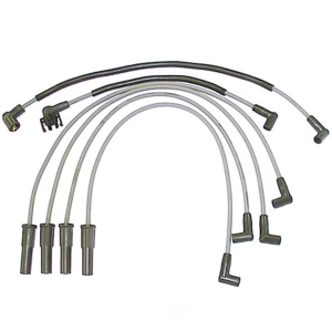 Denso Spark Plug Wire Set for Ford Aerostar - 671-4051