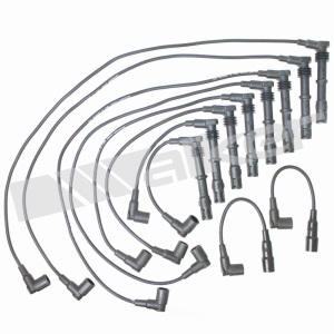 Walker Products Spark Plug Wire Set - 924-1389