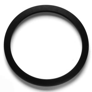 Denso Fuel Pump Seal - 954-2007