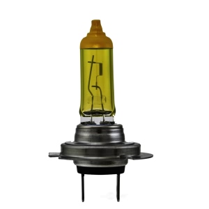 Hella Design Series Halogen Light Bulb for 2017 Audi A6 - H7 YL