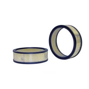 WIX Air Filter for Buick Skylark - 42082