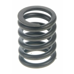 Sealed Power Engine Valve Spring - VS-786