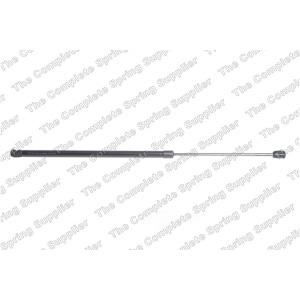 lesjofors Trunk Lid Lift Support for BMW X3 - 8108435