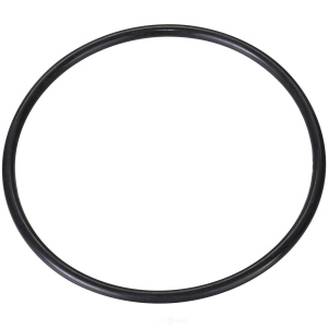 Spectra Premium Fuel Tank Lock Ring for Volvo - LO194